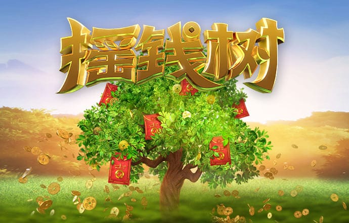 三晟体育下载